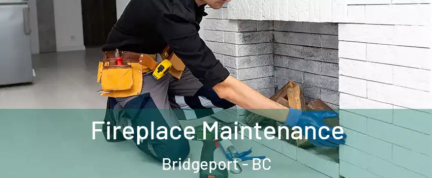  Fireplace Maintenance Bridgeport - BC