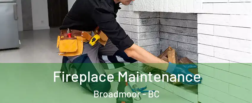  Fireplace Maintenance Broadmoor - BC