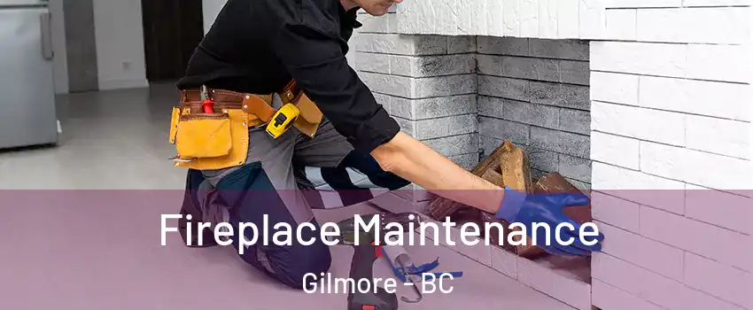  Fireplace Maintenance Gilmore - BC