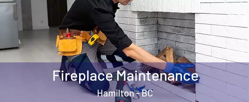  Fireplace Maintenance Hamilton - BC
