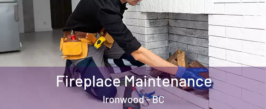  Fireplace Maintenance Ironwood - BC