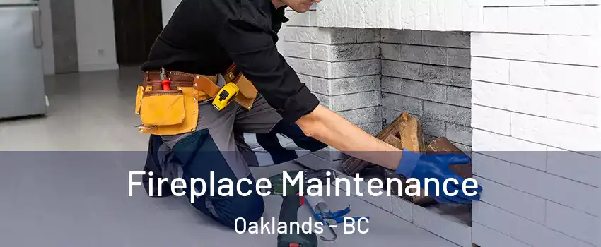  Fireplace Maintenance Oaklands - BC