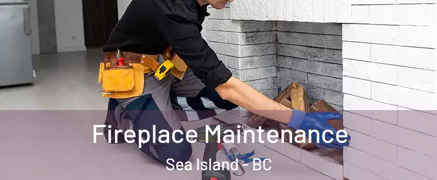  Fireplace Maintenance Sea Island - BC