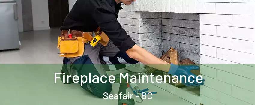  Fireplace Maintenance Seafair - BC