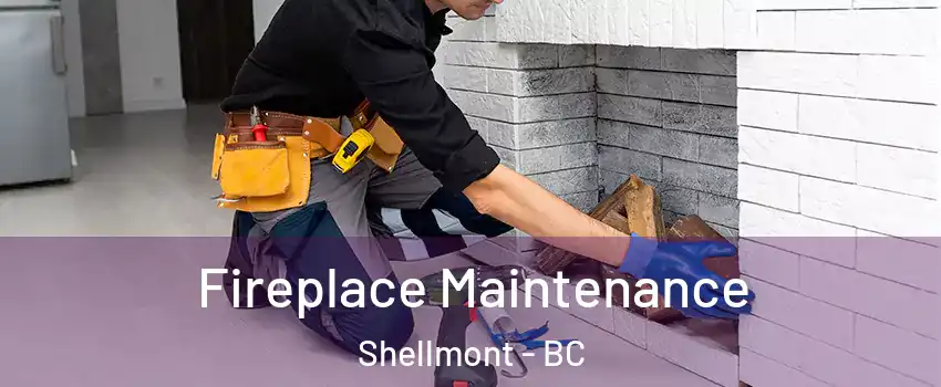 Fireplace Maintenance Shellmont - BC