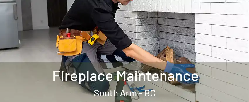  Fireplace Maintenance South Arm - BC
