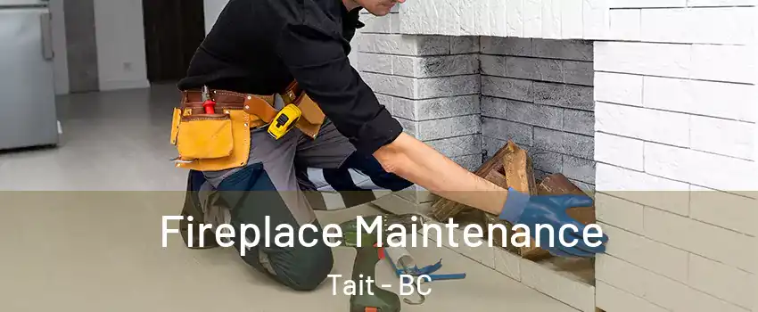  Fireplace Maintenance Tait - BC
