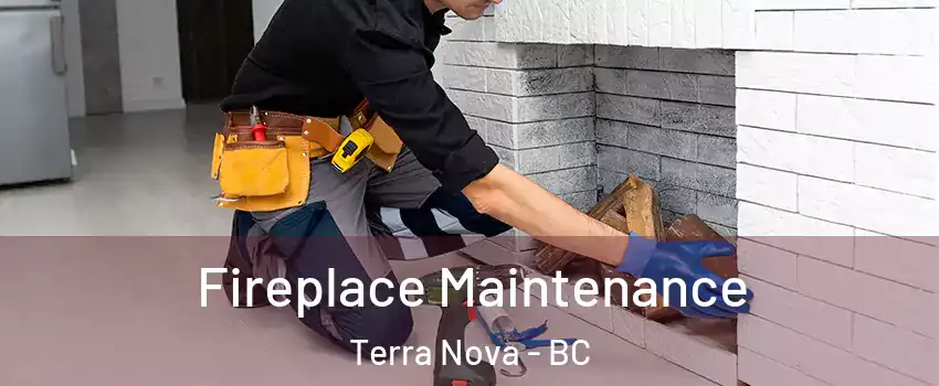  Fireplace Maintenance Terra Nova - BC