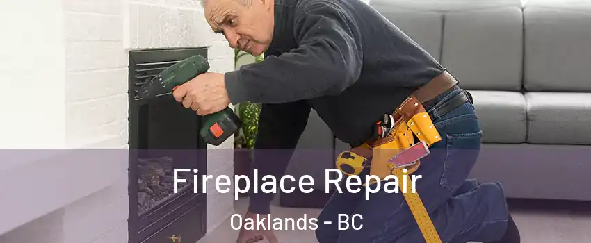  Fireplace Repair Oaklands - BC
