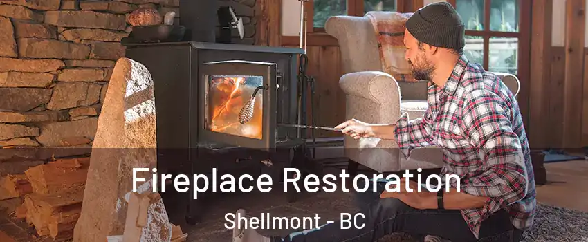  Fireplace Restoration Shellmont - BC