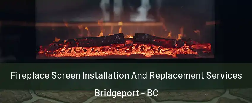  Fireplace Screen Installation And Replacement Services Bridgeport - BC