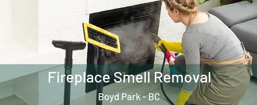  Fireplace Smell Removal Boyd Park - BC