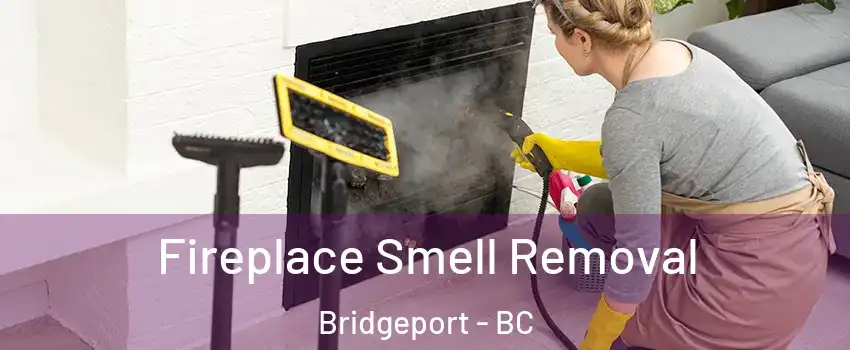  Fireplace Smell Removal Bridgeport - BC