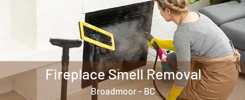  Fireplace Smell Removal Broadmoor - BC