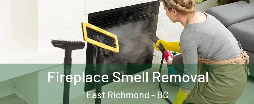  Fireplace Smell Removal East Richmond - BC