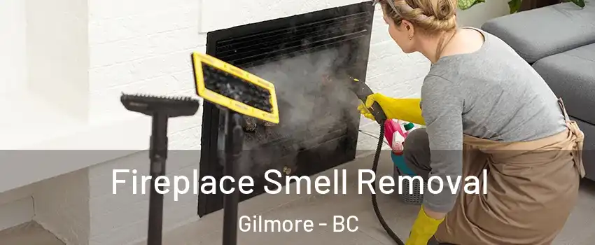  Fireplace Smell Removal Gilmore - BC