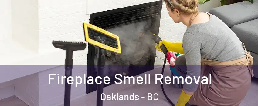  Fireplace Smell Removal Oaklands - BC