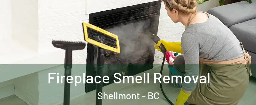  Fireplace Smell Removal Shellmont - BC