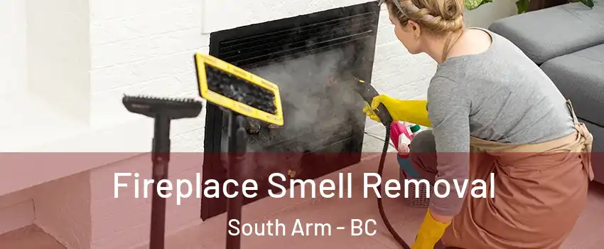  Fireplace Smell Removal South Arm - BC