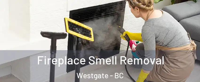  Fireplace Smell Removal Westgate - BC