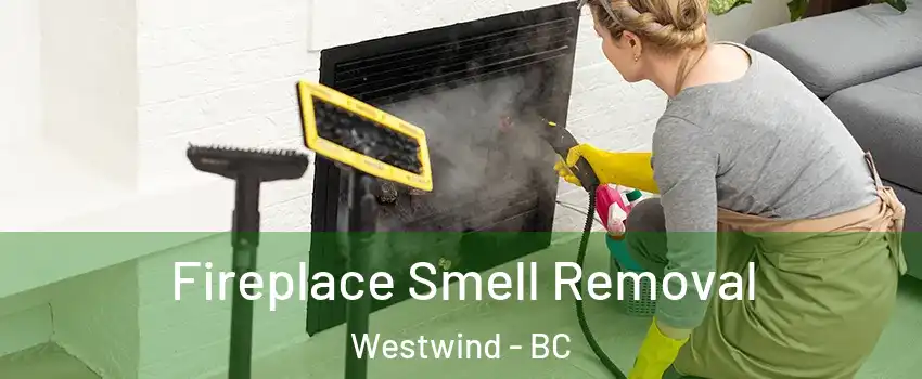  Fireplace Smell Removal Westwind - BC