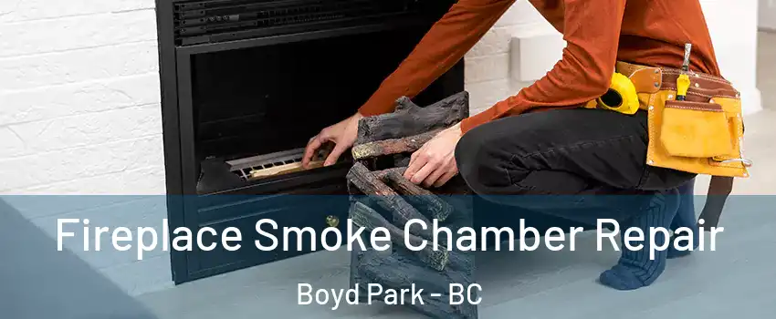  Fireplace Smoke Chamber Repair Boyd Park - BC
