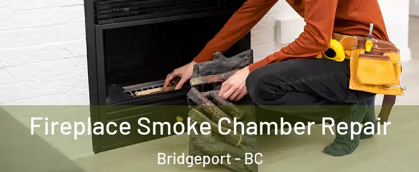  Fireplace Smoke Chamber Repair Bridgeport - BC