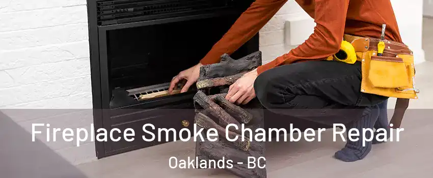  Fireplace Smoke Chamber Repair Oaklands - BC