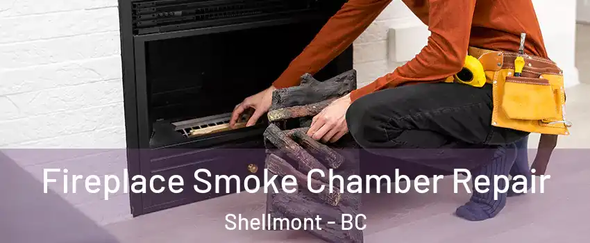  Fireplace Smoke Chamber Repair Shellmont - BC