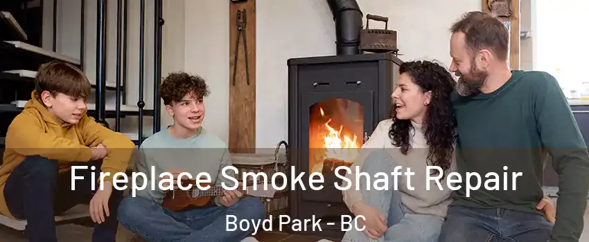  Fireplace Smoke Shaft Repair Boyd Park - BC