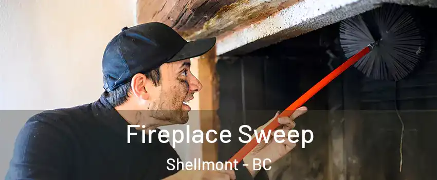  Fireplace Sweep Shellmont - BC