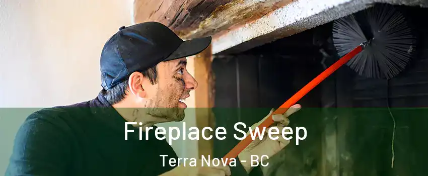  Fireplace Sweep Terra Nova - BC