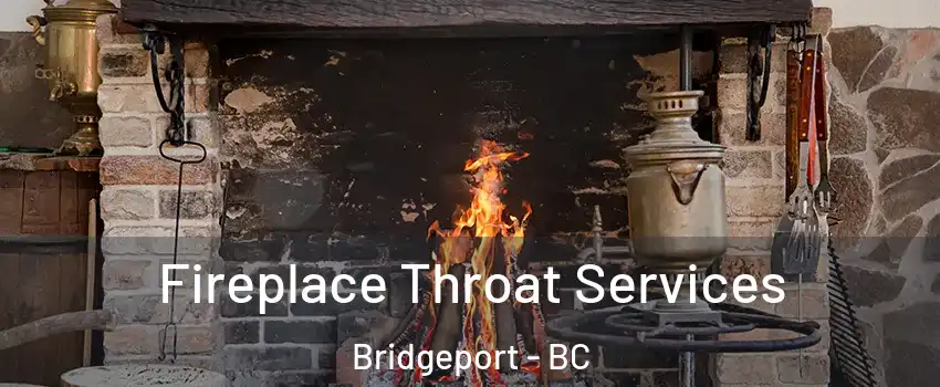  Fireplace Throat Services Bridgeport - BC