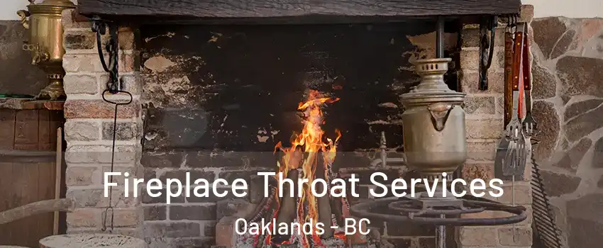  Fireplace Throat Services Oaklands - BC
