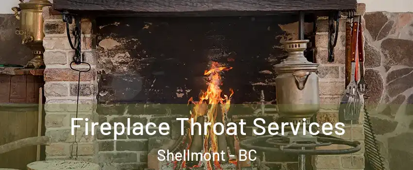  Fireplace Throat Services Shellmont - BC