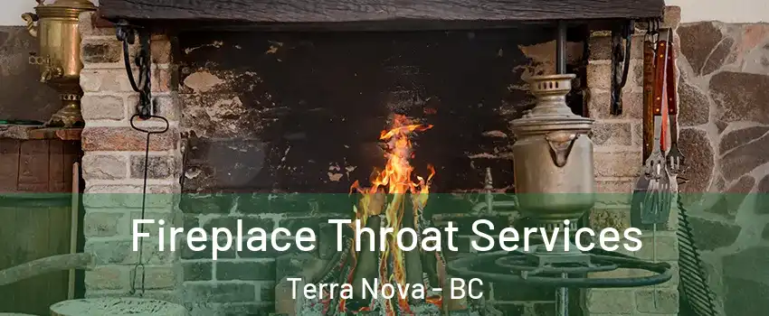  Fireplace Throat Services Terra Nova - BC