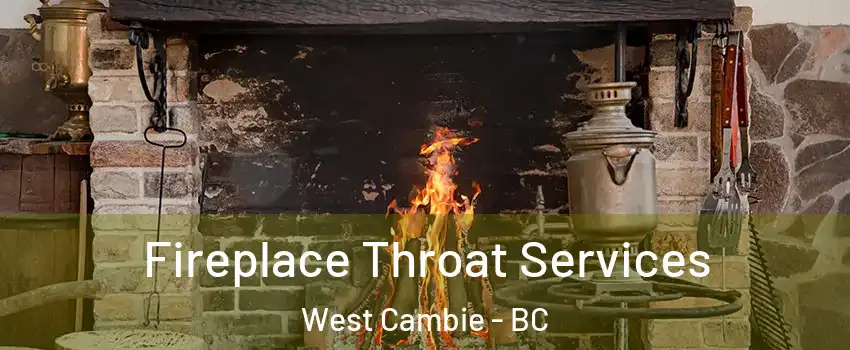  Fireplace Throat Services West Cambie - BC
