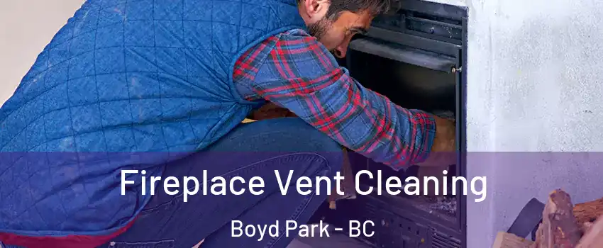  Fireplace Vent Cleaning Boyd Park - BC