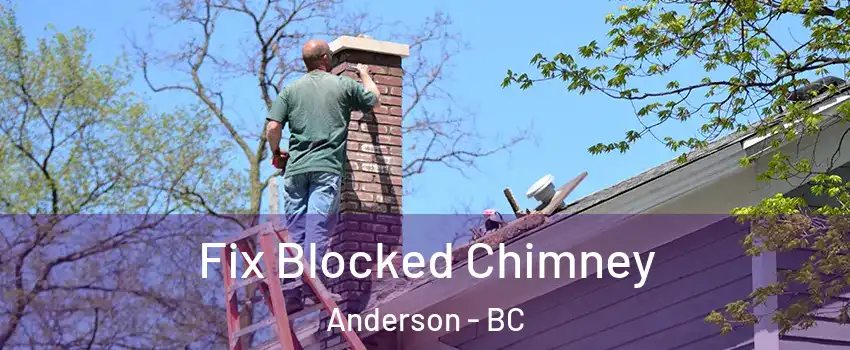  Fix Blocked Chimney Anderson - BC