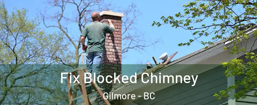  Fix Blocked Chimney Gilmore - BC
