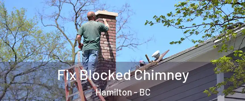  Fix Blocked Chimney Hamilton - BC