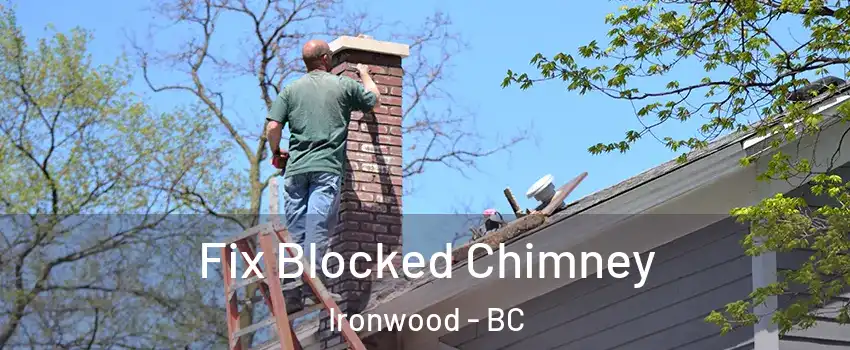  Fix Blocked Chimney Ironwood - BC