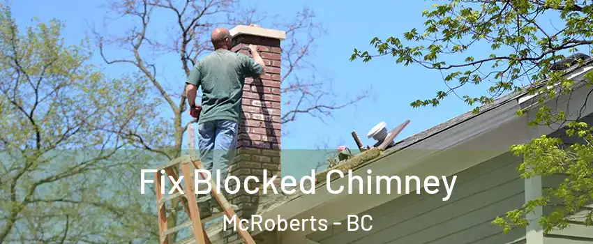  Fix Blocked Chimney McRoberts - BC