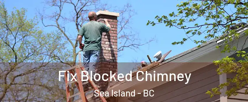  Fix Blocked Chimney Sea Island - BC