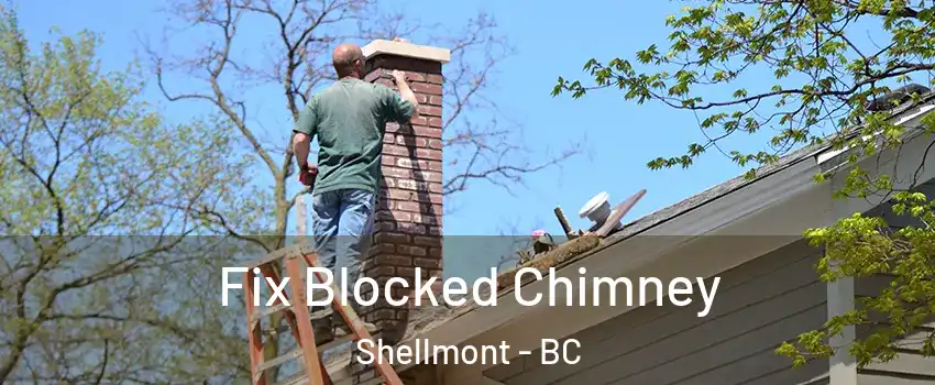  Fix Blocked Chimney Shellmont - BC