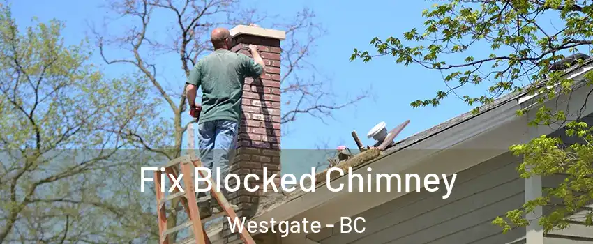  Fix Blocked Chimney Westgate - BC
