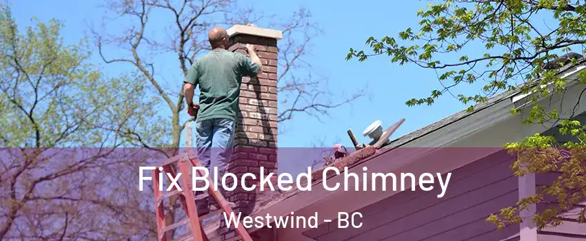  Fix Blocked Chimney Westwind - BC