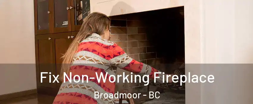  Fix Non-Working Fireplace Broadmoor - BC