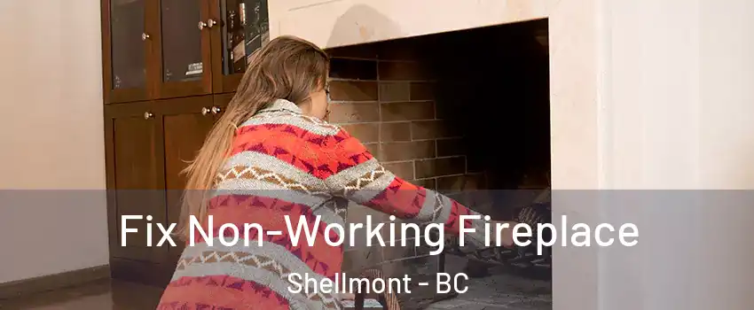  Fix Non-Working Fireplace Shellmont - BC