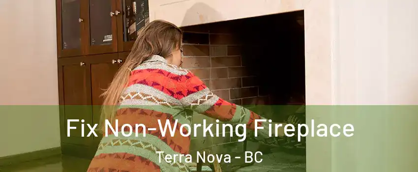  Fix Non-Working Fireplace Terra Nova - BC
